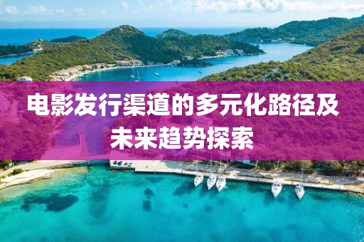 电影发行渠道的多元化路径及未来趋势探索