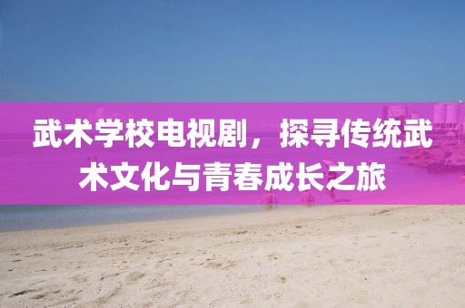 武术学校电视剧，探寻传统武术文化与青春成长之旅