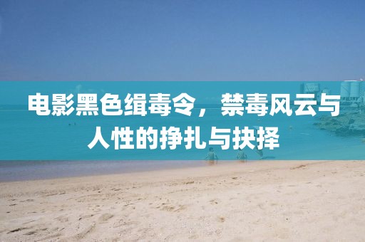 电影黑色缉毒令，禁毒风云与人性的挣扎与抉择