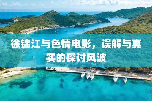 徐锦江与色情电影，误解与真实的探讨风波