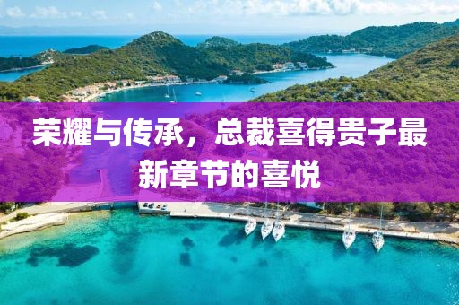 荣耀与传承，总裁喜得贵子最新章节的喜悦