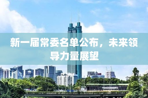 新一届常委名单公布，未来领导力量展望