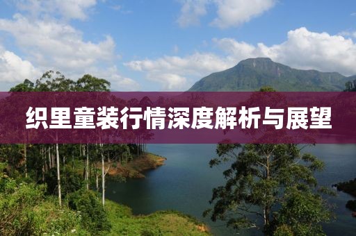 织里童装行情深度解析与展望