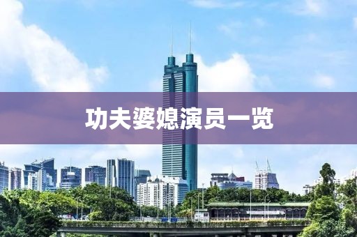 功夫婆媳演员一览
