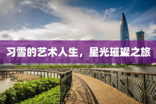 习雪的艺术人生，星光璀璨之旅