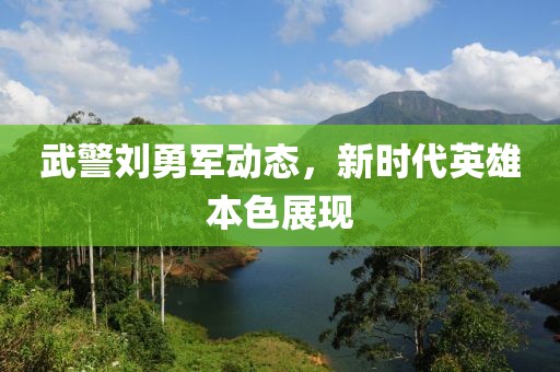 武警刘勇军动态，新时代英雄本色展现