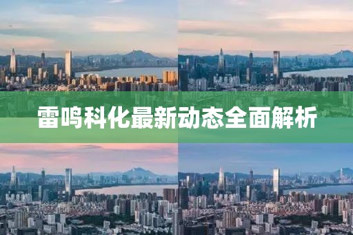 雷鸣科化最新动态全面解析
