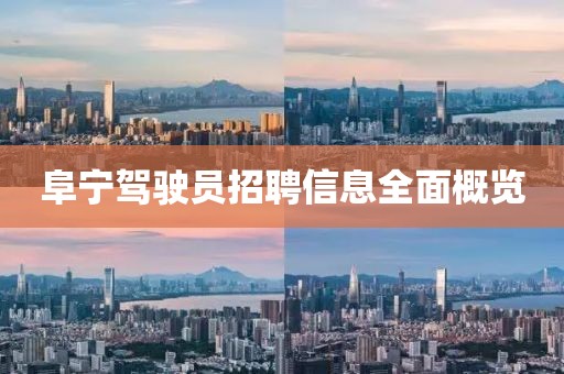 阜宁驾驶员招聘信息全面概览