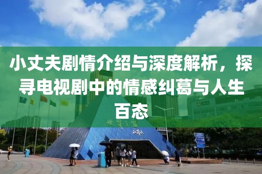 小丈夫剧情介绍与深度解析，探寻电视剧中的情感纠葛与人生百态