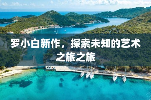 罗小白新作，探索未知的艺术之旅之旅