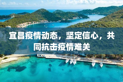 宜昌疫情动态，坚定信心，共同抗击疫情难关