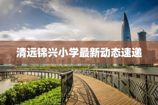 清远锦兴小学最新动态速递