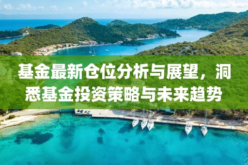 基金最新仓位分析与展望，洞悉基金投资策略与未来趋势