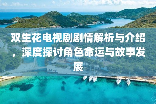 双生花电视剧剧情解析与介绍，深度探讨角色命运与故事发展