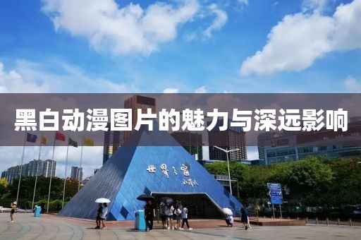 黑白动漫图片的魅力与深远影响