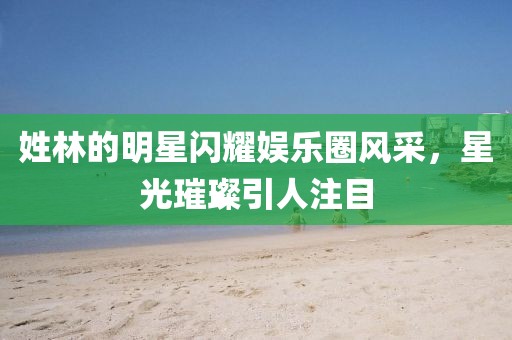 姓林的明星闪耀娱乐圈风采，星光璀璨引人注目