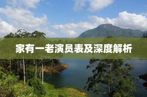 家有一老演员表及深度解析