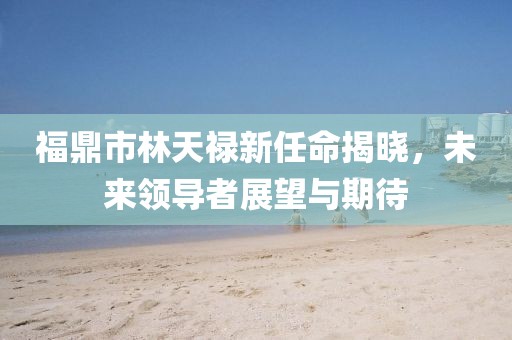 福鼎市林天禄新任命揭晓，未来领导者展望与期待