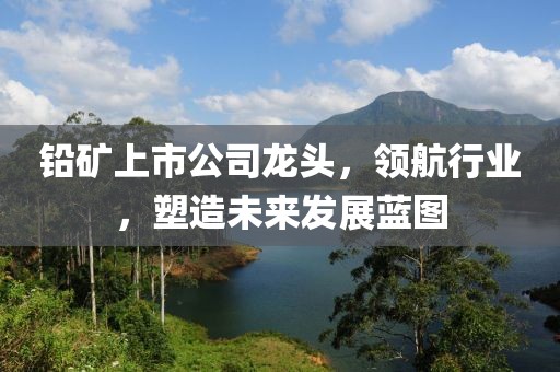铅矿上市公司龙头，领航行业，塑造未来发展蓝图