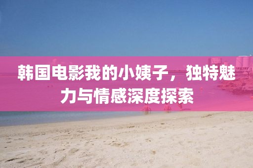 韩国电影我的小姨子，独特魅力与情感深度探索