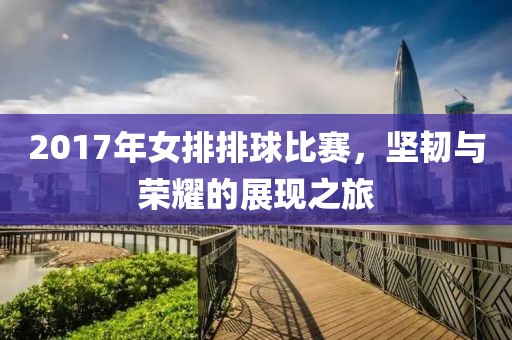 2017年女排排球比赛，坚韧与荣耀的展现之旅