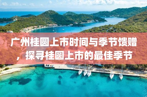 广州桂圆上市时间与季节馈赠，探寻桂圆上市的最佳季节