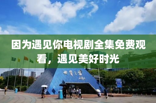 因为遇见你电视剧全集免费观看，遇见美好时光