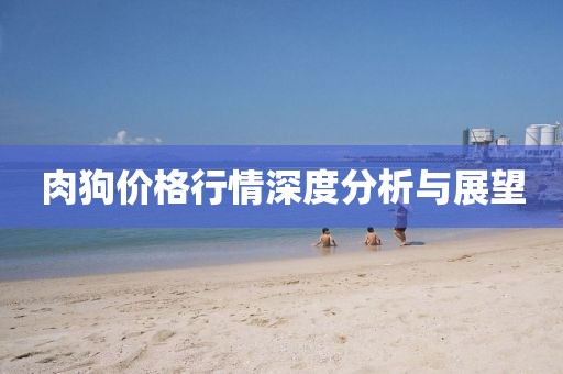 肉狗价格行情深度分析与展望