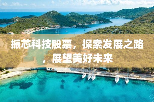 振芯科技股票，探索发展之路，展望美好未来