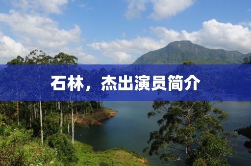石林，杰出演员简介
