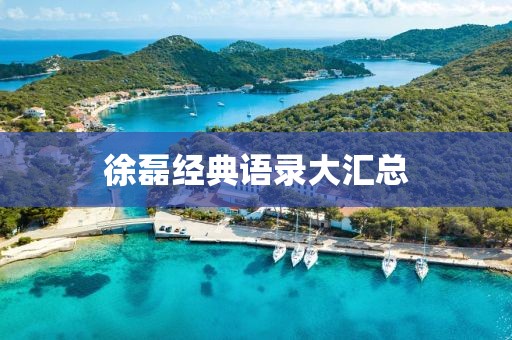 徐磊经典语录大汇总