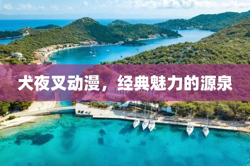 犬夜叉动漫，经典魅力的源泉