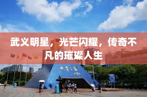 武义明星，光芒闪耀，传奇不凡的璀璨人生