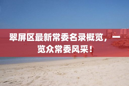 翠屏区最新常委名录概览，一览众常委风采！
