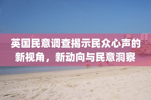 2025年1月 第11页