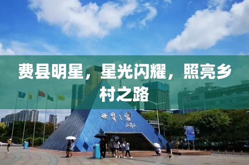 费县明星，星光闪耀，照亮乡村之路