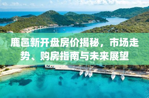 鹿邑新开盘房价揭秘，市场走势、购房指南与未来展望