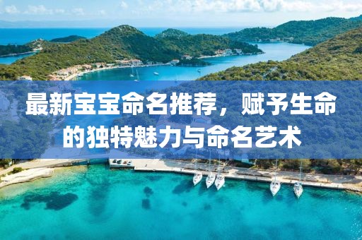 最新宝宝命名推荐，赋予生命的独特魅力与命名艺术