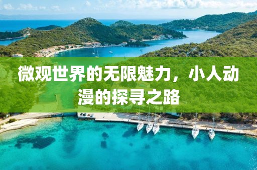 微观世界的无限魅力，小人动漫的探寻之路