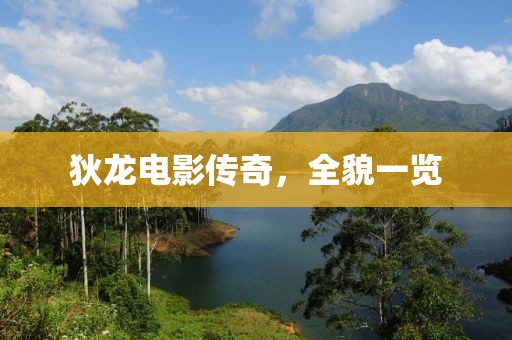 狄龙电影传奇，全貌一览