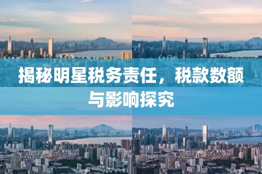 揭秘明星税务责任，税款数额与影响探究