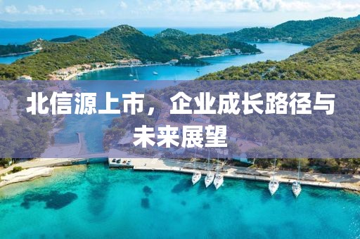 北信源上市，企业成长路径与未来展望