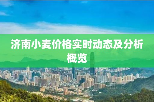 济南小麦价格实时动态及分析概览