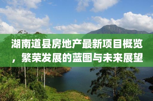 湖南道县房地产最新项目概览，繁荣发展的蓝图与未来展望