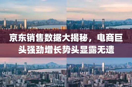 京东销售数据大揭秘，电商巨头强劲增长势头显露无遗