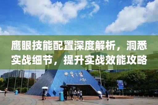 鹰眼技能配置深度解析，洞悉实战细节，提升实战效能攻略