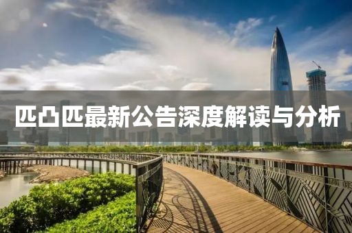 匹凸匹最新公告深度解读与分析