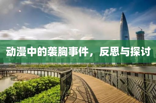 动漫中的袭胸事件，反思与探讨