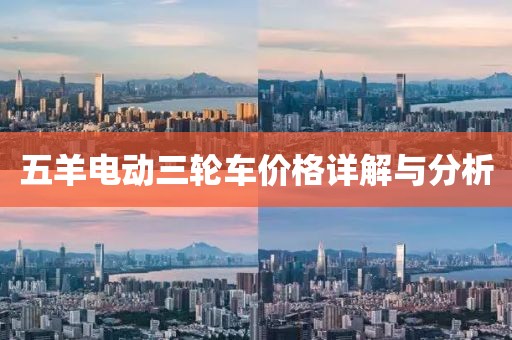 五羊电动三轮车价格详解与分析
