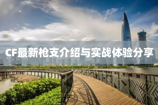 CF最新枪支介绍与实战体验分享